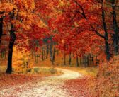 Autunno 2025: 10 mete italiane ideali per un weekend tra natura e cultura